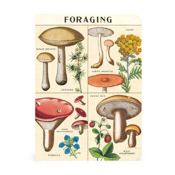 /assets/alt_1/CHW-C-NBFORAGE-MINI.jpg?20260720103004