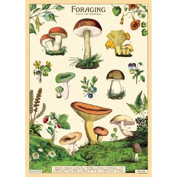 /assets/alt_1/CHW-C-WRAP-FORAGE_4PK.jpg?20260720110019