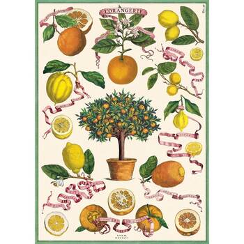 /assets/alt_1/CHW-C-WRAP-ORANGERIE_2PK.jpg?20260720110024