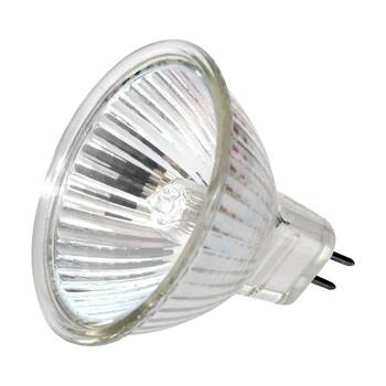 /assets/alt_1/CHW-EXN_4PK.jpg?20260127102048