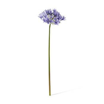 /assets/alt_1/CHW-FS.157.BL_2PK.jpg?20260723103143