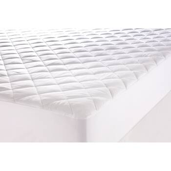 /assets/alt_1/CHW-MAJHSANTBACSB.jpg?20260203120039