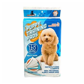 /assets/alt_1/CHW-PE100100_20PK.jpg?20260123184518