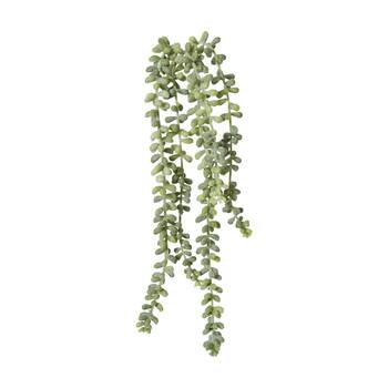 /assets/alt_1/CHW-PL.037.GYGN_2PK.jpg?20260728103145