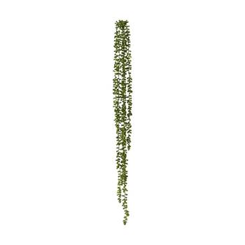 /assets/alt_1/CHW-PL.105.GN_2PK.jpg?20260728103340