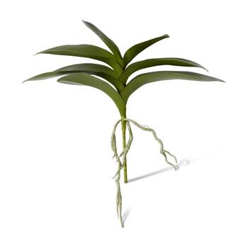 /assets/alt_1/CHW-PLP.015.GN_4PK.jpg?20260728101753