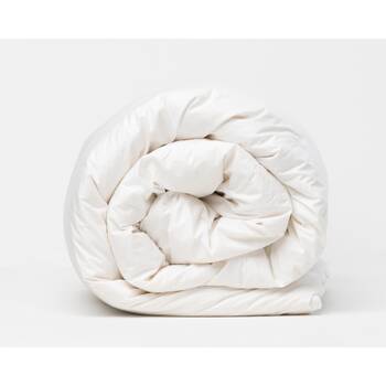 /assets/alt_1/CHW-QUONKHUGD85QB.jpg?20260203120138