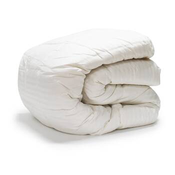 /assets/alt_1/CHW-QUONSPWO500SK.jpg?20260203120150