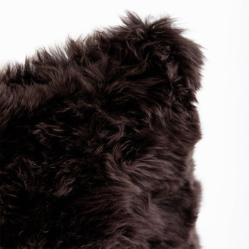 /assets/alt_1/CLS50FFHG-CQ.jpg?20241024160236