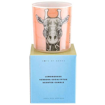 /assets/alt_1/DD012_2PK.jpg?20250422170047