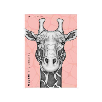 /assets/alt_1/DD022_2PK.jpg?20250423122907