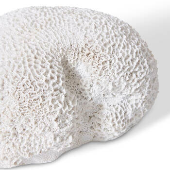 /assets/alt_1/DE.262.WH.jpg?20250415125917