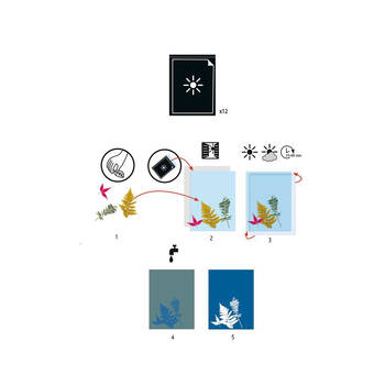 /assets/alt_1/DJ9338.jpg?20250106114541