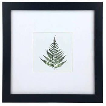 /assets/alt_1/E8169_6PK.jpg?20250819101912