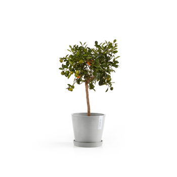 /assets/alt_1/ECO2286WG.jpg?20240416130301