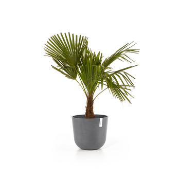 /assets/alt_1/ECO2302GR.jpg?20240416130406