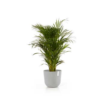 /assets/alt_1/ECO2302WG.jpg?20240416130303
