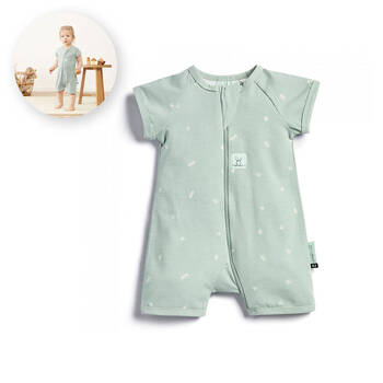 /assets/alt_1/EPLS-0.2T00-03MSA20.jpg?20210223161346