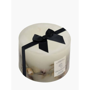 /assets/alt_1/FCC008CL.jpg?20250909131617