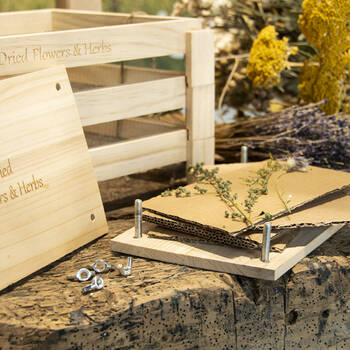 /assets/alt_1/FH006.jpg?20250709113807