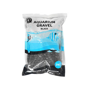 /assets/alt_1/FISH-328192_6PK.jpg?20250220155940