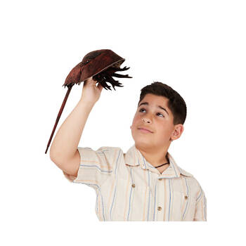 /assets/alt_1/FM3218.jpg?20250102141531