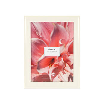 /assets/alt_1/FRA-333257_6PK.jpg?20250219083844