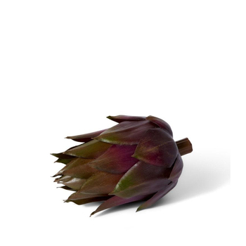 /assets/alt_1/FVP.004.GNBN_2PK.jpg?20231219153100
