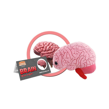 /assets/alt_1/GM-0099.jpg?20240718135809