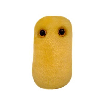 /assets/alt_1/GM-0170_2PK.jpg?20240718142349