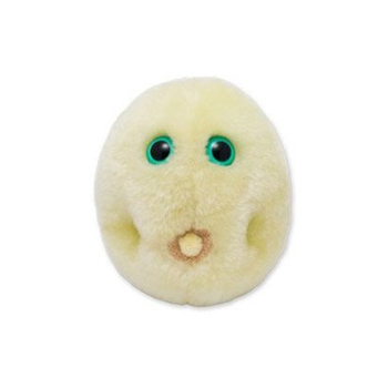 /assets/alt_1/GM-0350_2PK.jpg?20240718142428