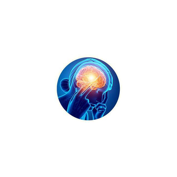 /assets/alt_1/GM-0355.jpg?20240718140258