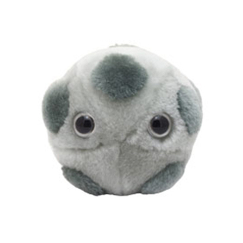 /assets/alt_1/GM-0410_2PK.jpg?20240718142403