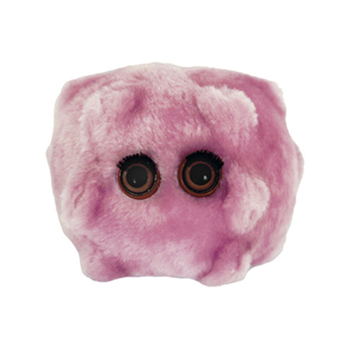 /assets/alt_1/GM-0430_2PK.jpg?20240718142424