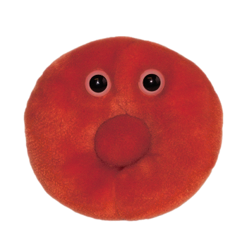 /assets/alt_1/GM-0610_2PK.png?20240718142347