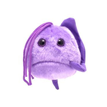 /assets/alt_1/GM-0758_2PK.jpg?20240718142439