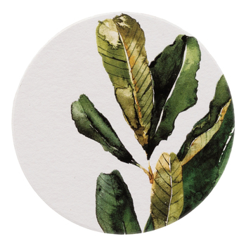 /assets/alt_1/GNH028F_8PK.jpg?20240903115451