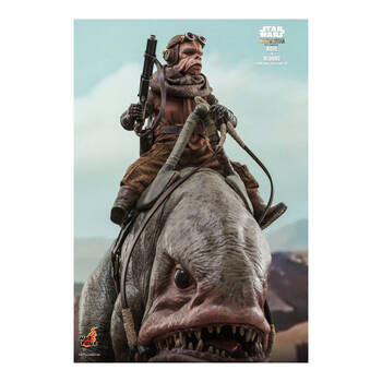 /assets/alt_1/HOTTMS049.jpg?20250514165532