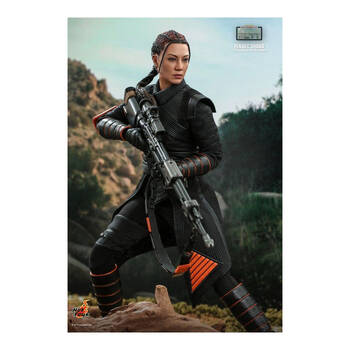 /assets/alt_1/HOTTMS068.jpg?20250520133415