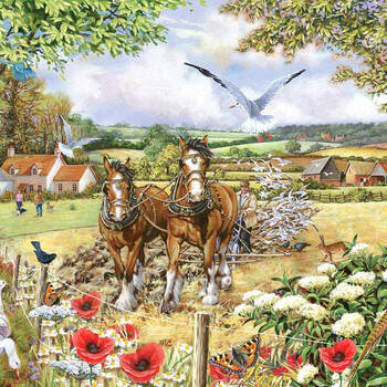 /assets/alt_1/HP0573.jpg?20250603111829