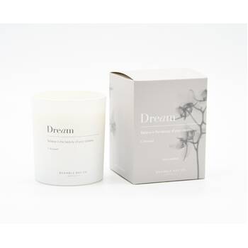 /assets/alt_1/INSCAN-03_2PK.jpg?20250919160735