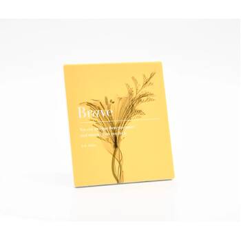 /assets/alt_1/INSPLAQ-02_2PK.jpg?20250919161455