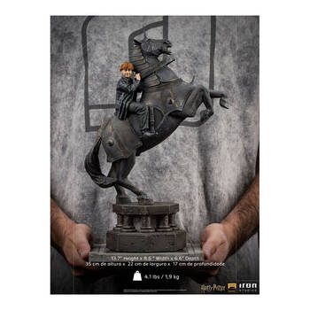 /assets/alt_1/IRO34997.jpg?20250515163545