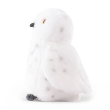 /assets/alt_1/KC-AN779.jpg?20250514134707