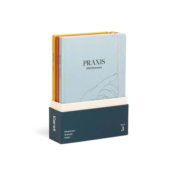 /assets/alt_1/KSP-PRAXIS-SET-1.jpg?20240618163129