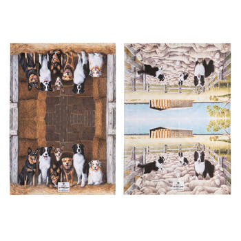 /assets/alt_1/LA-522617_2PK.jpg?20250814101556