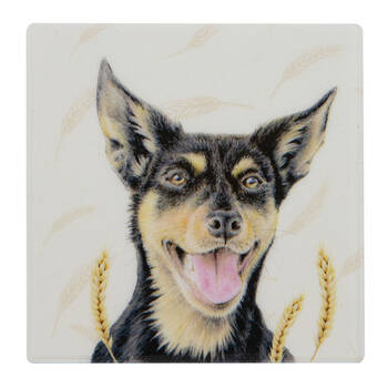 /assets/alt_1/LA-522728_6PK.jpg?20250814180050