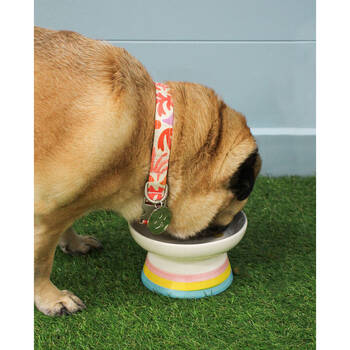 /assets/alt_1/LD7206-1.jpg?20250808143306