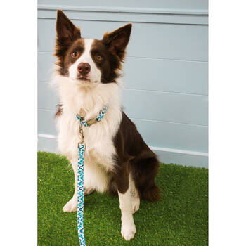 /assets/alt_1/LD7209-1.jpg?20250808143411