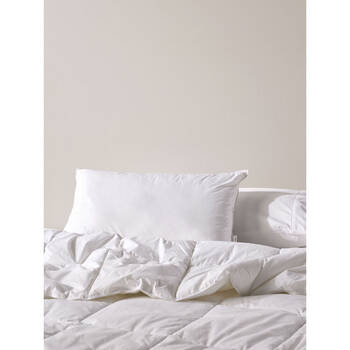 /assets/alt_1/LH-01809J962.jpg?20250213090129